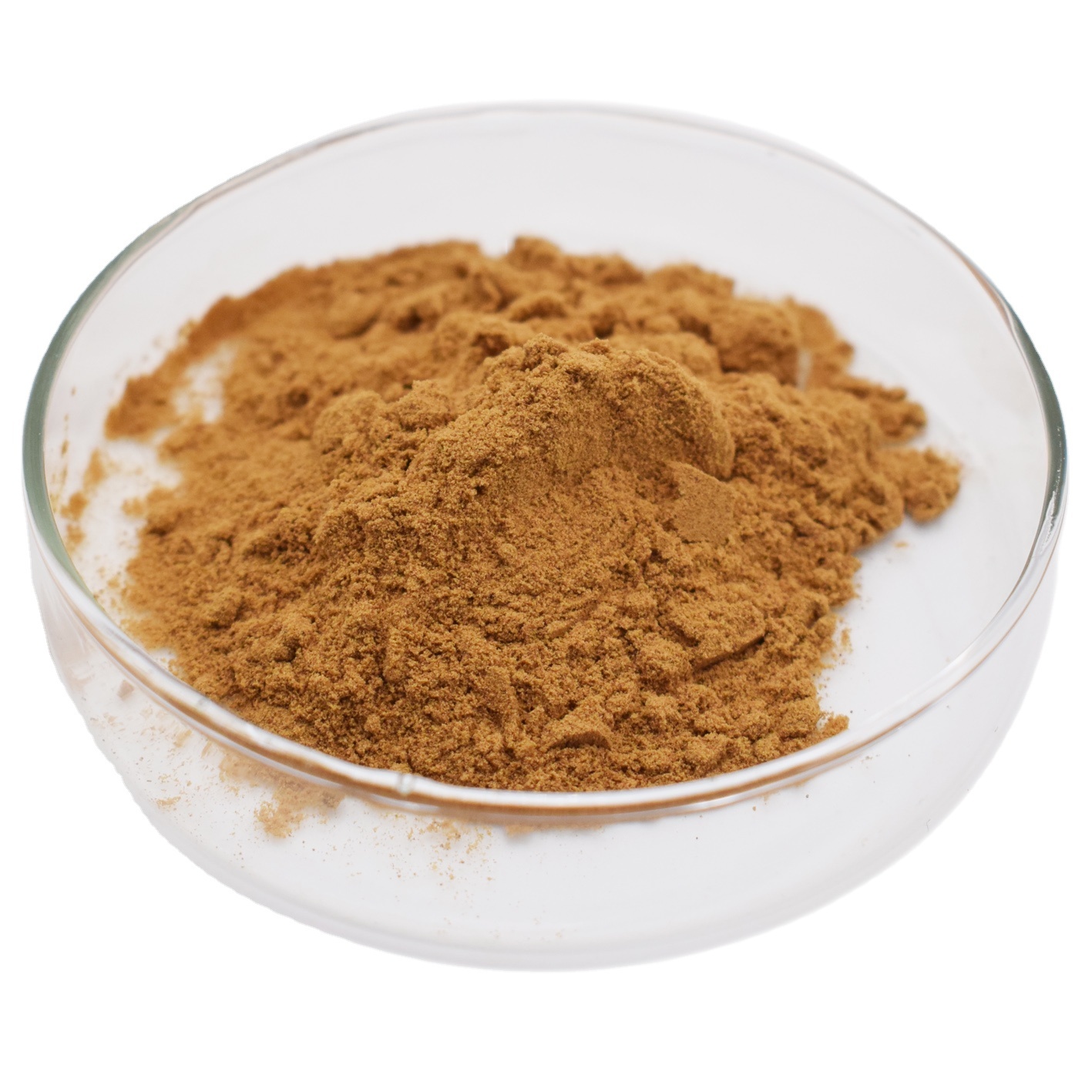 100% Pure Ashwagandha Root Extract 5% 10% Withanolides