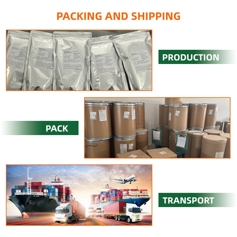 Factory Supply Salvia Miltiorrhiza Root Extract Salvianolic Acid B 40% Salvia Miltiorrhiza Root Extract Powder