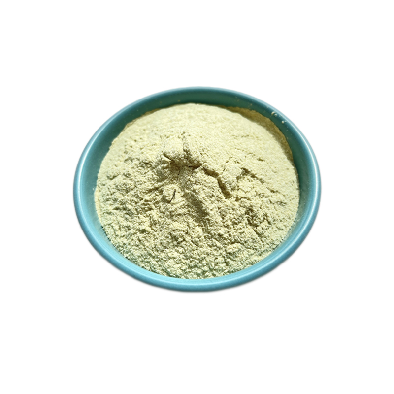 100% Natural Celery Extract Freeze Dried Vegetables Celery Extract Powder Celery Powder Factory Supply 98% Apigenin