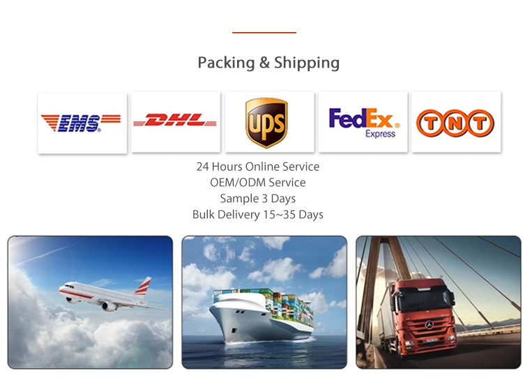 Logistics and Transport