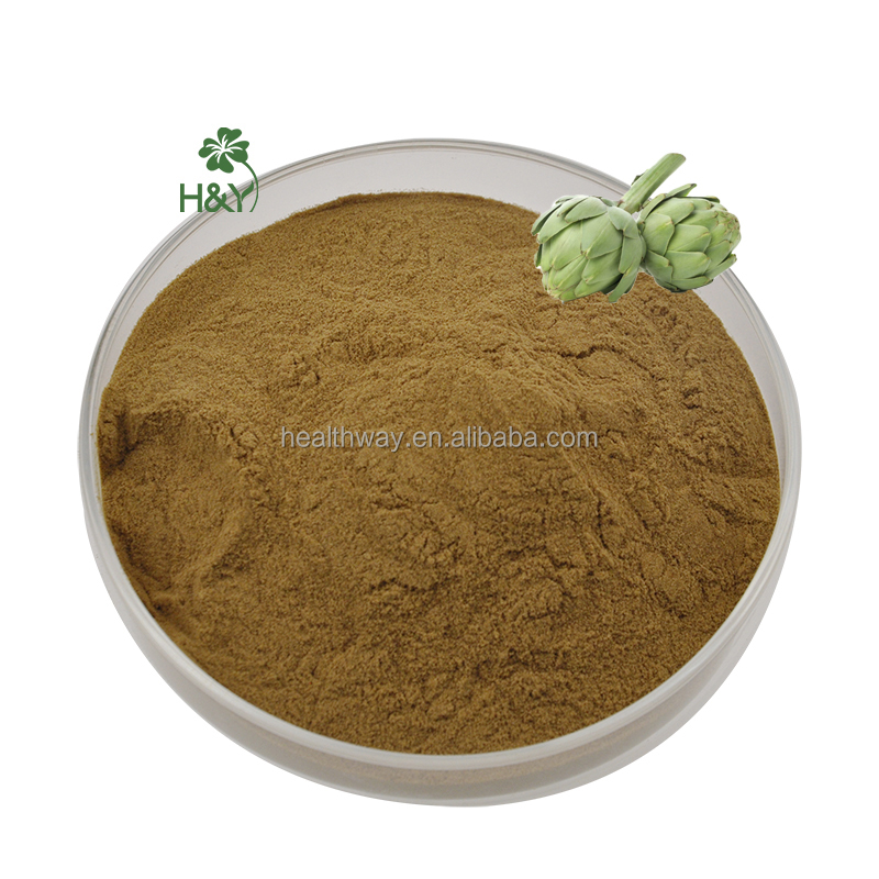 Artichoke Leaf Extract Product Display