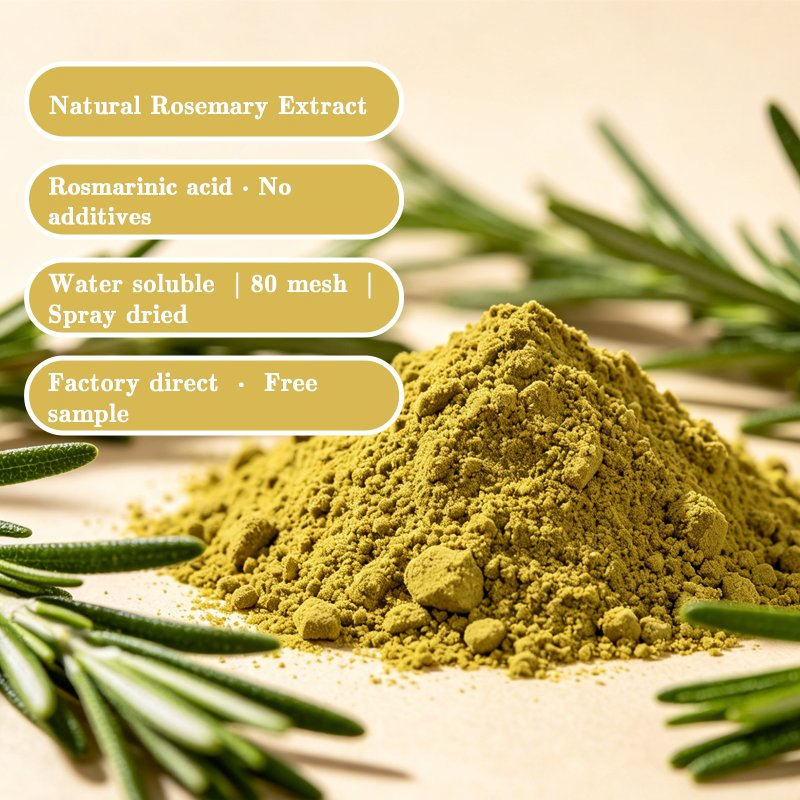 High Quality Standardized Carnosic Acid 5% 10% 20% for Cosmetics and Food Rosemary Extract