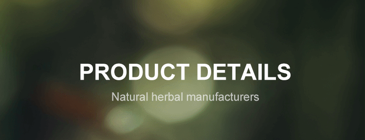 Pure Organic Food Grade Herbal Extract Lotus Leaf Extract Nuciferine 10:1