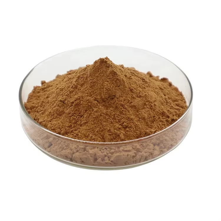 Natural White Herbal Leaf Extract Powder Solvent Extracted Food Grade Vacuum Packed in Drum