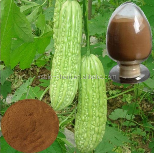 GMP Natural High Quality Bitter Melon Extract Food Grade Momordica Charantia Powder Charantin Active Ingredient Vacuum Drum