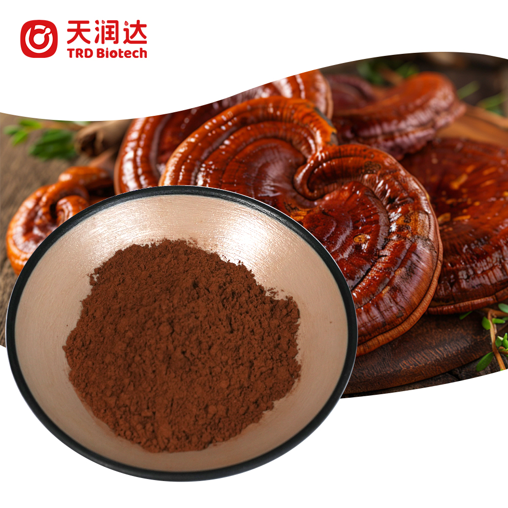 OEM Bulk Factory Supply of Reishi Mushroom Extract Powder 10:1 Private Label Reishi Mushroom