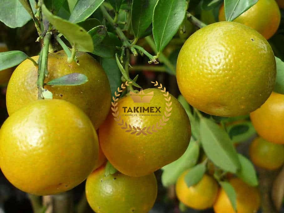 Calamansi Halves