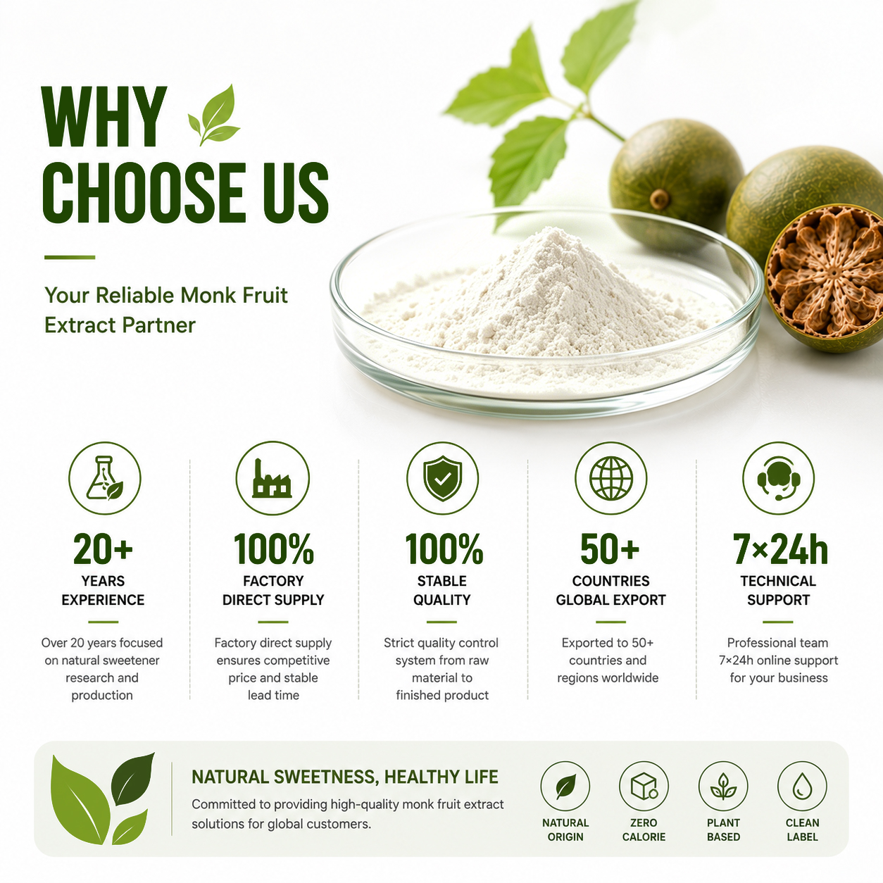 Natural Monk Fruit Extract Powder Mogroside V For Beverage Reformulation SE Asia Thailand Vietnam Market Hot Sale
