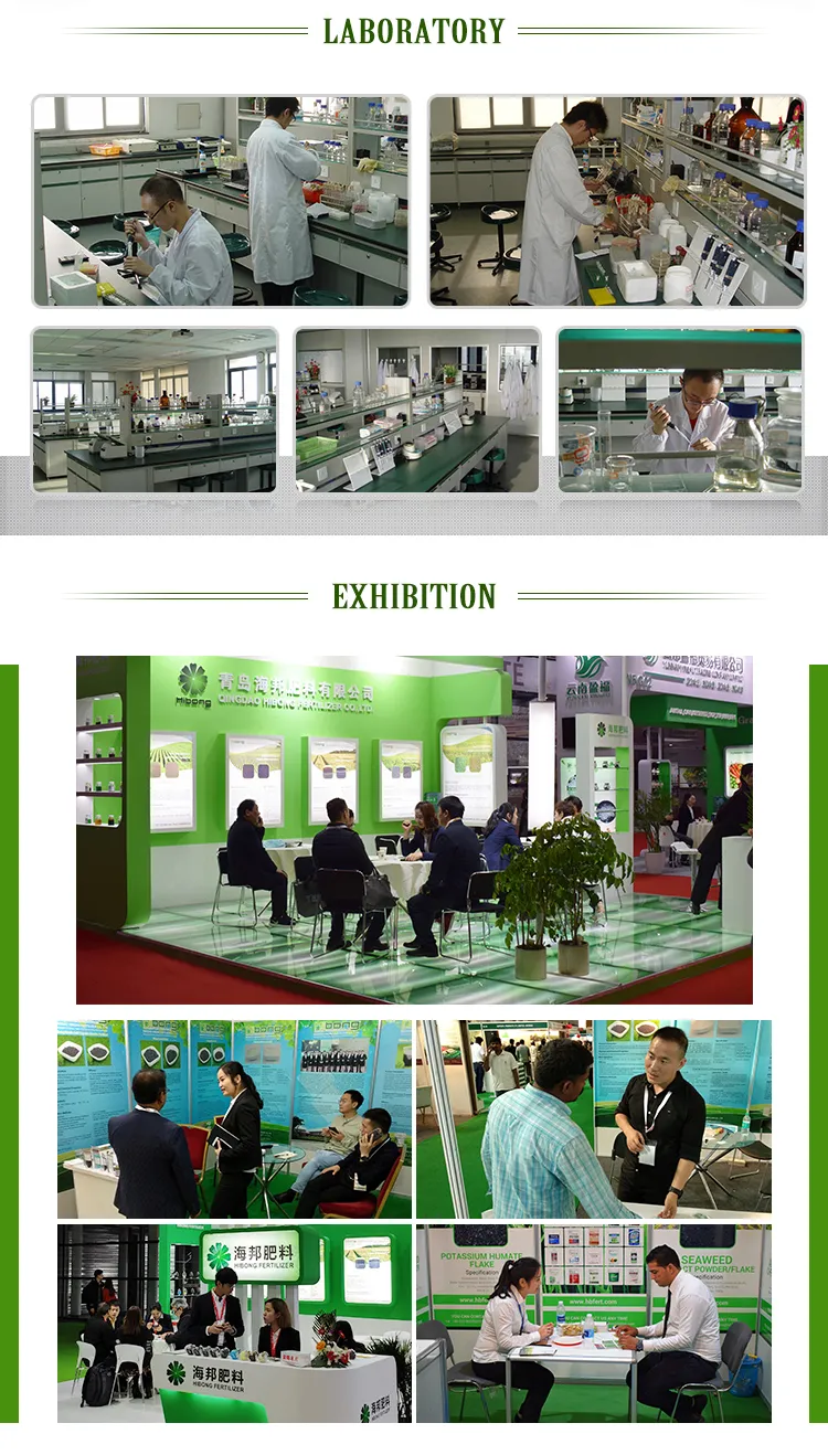 Organic Natural Seaweed Extract for Enhanced Plant Growth and Health