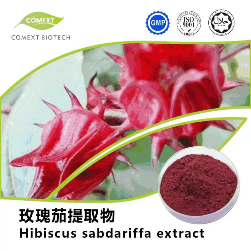 Comext Key Product Hibiscus Flower Extract Anthocyanidins 5.0%~25% UV Free Sample