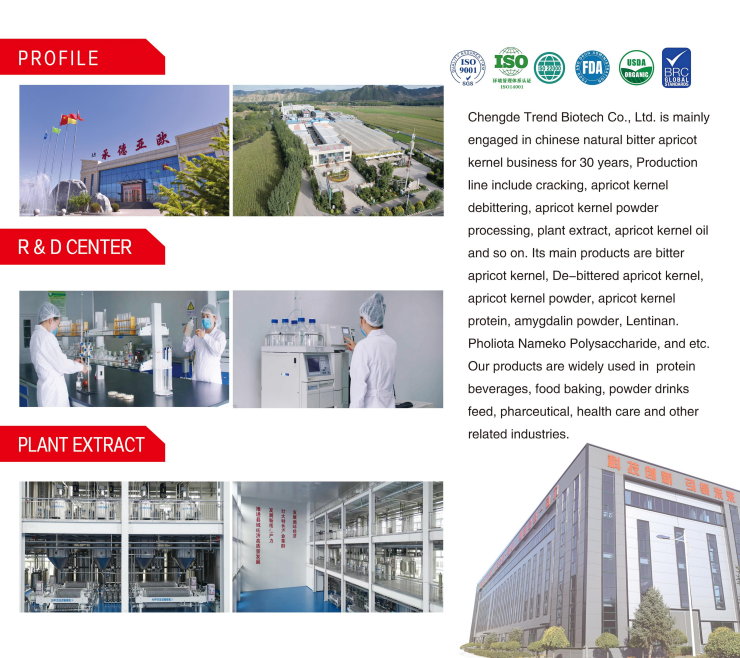 Manufacturer 100% Natural Sevenleaf Gynostemma Extract Gynostemma Pentaphyllum Herbal Plant Extract Gypenosides20%