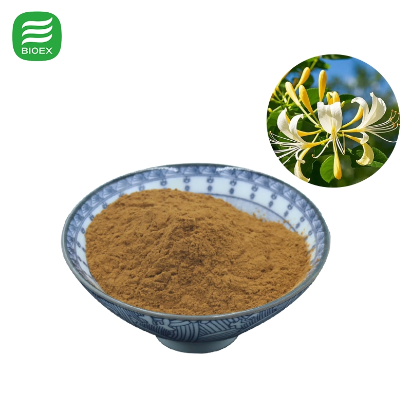 Honeysuckle Flower Extract Powder Standardized 5%-25% Chlorogenic Acid for Dietary Supplement with Free Sample