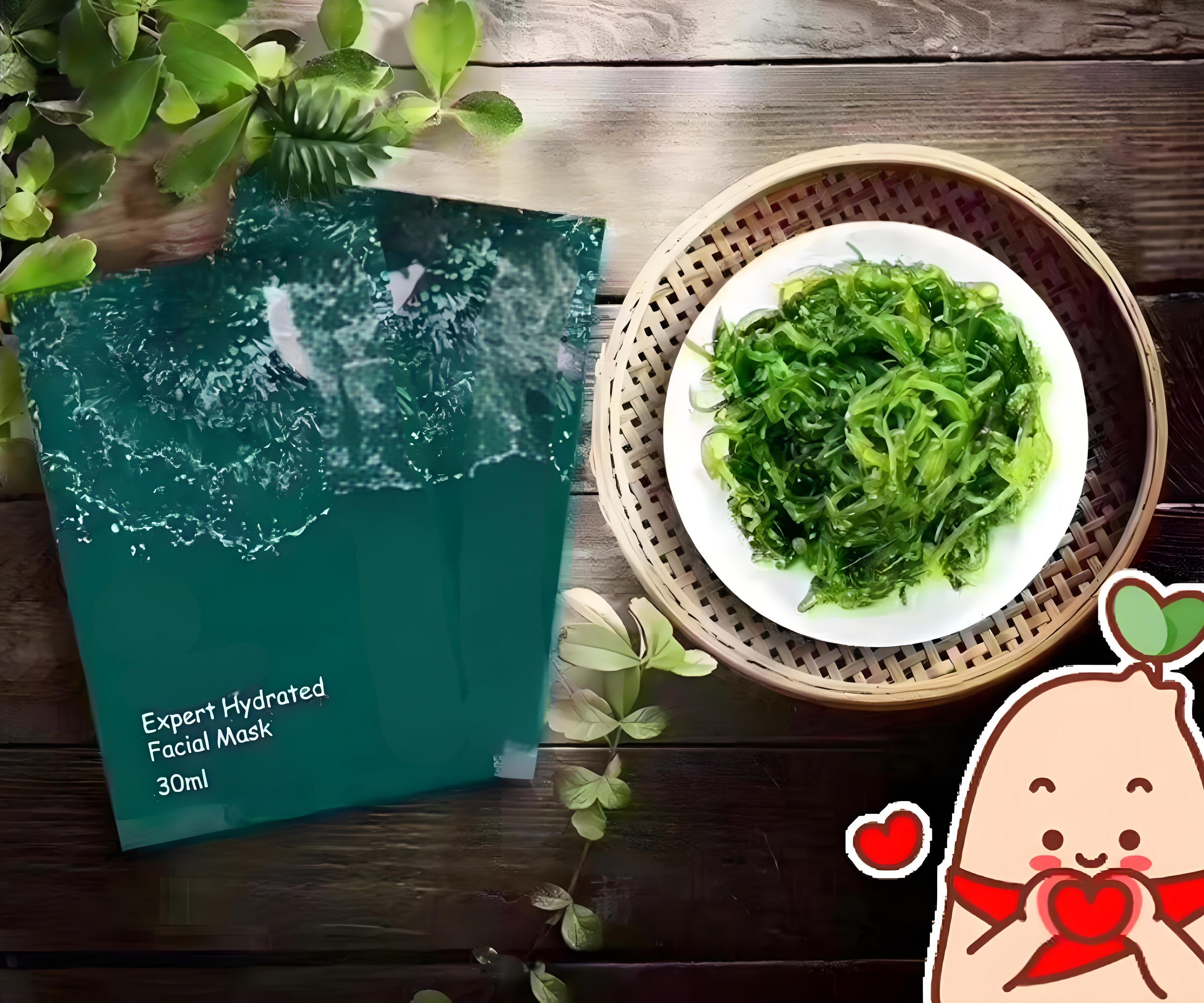 Food Grade Brown Seaweed Powder Natural Marine Algae Extract Rich in Minerals and Fiber 1kg Minimum Order Herbal Form