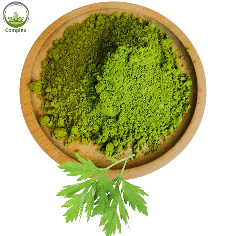Supply High Quality Food Grade Natural Wormwood Leaf Extract Powder