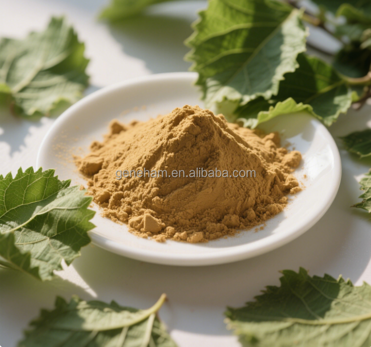 Custom 5% Dnj Mulberry Leaf Powder 100% Pure Food Grade Herbal Extract Discount Available