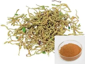 Honeysuckle Flower Extract Powder 25% Chlorogenic Acid Honeysuckle Extract