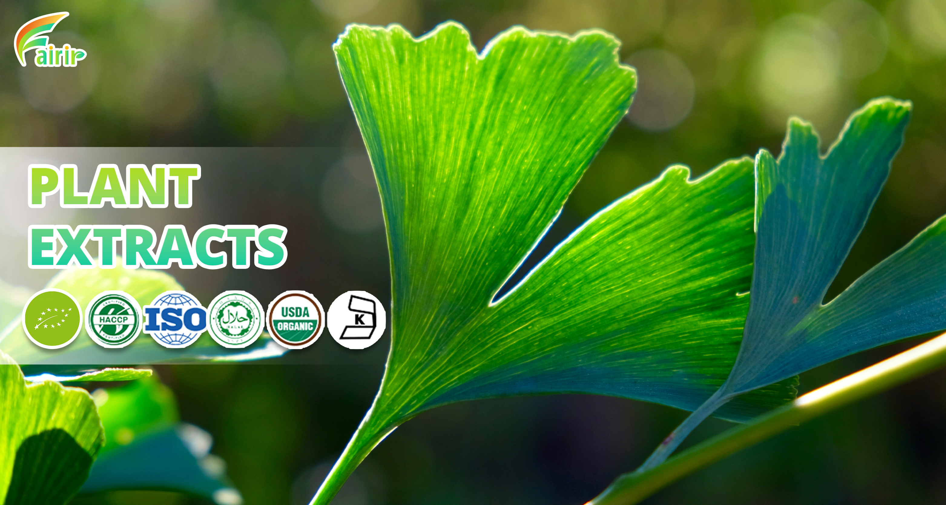 Cordyceps Extract Showcase 1