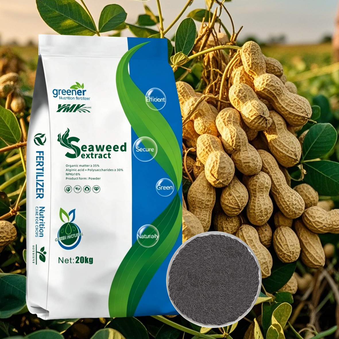 Marine Plant Extract Enzymatic Hydrolysis Seaweed Extract Powder and Granulated Fertilizer Scoop Eco Friendly Increase Yield
