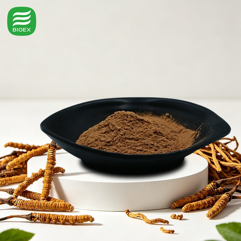 Pure Natural Cordyceps Extract Standardized Cordycepin 8% and Polysaccharides 50% for Dietary Supplements