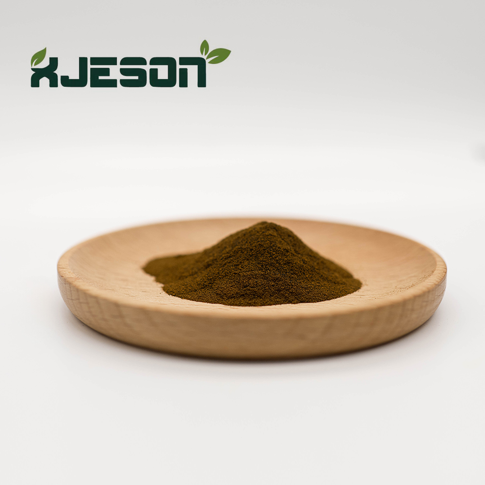 Pure Organic Food Grade Herbal Extract Lotus Leaf Extract Nuciferine 10:1