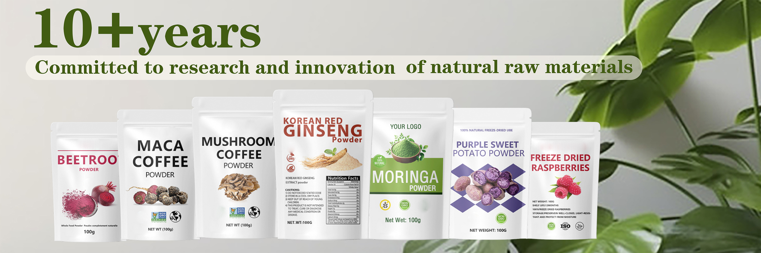 Konjac Flour Powder Banner