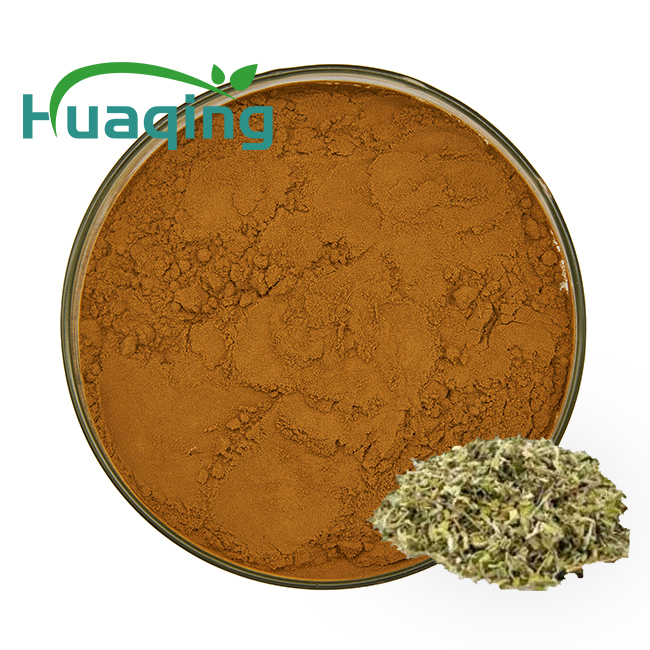 Natural Damiana Leaf Extract Powder