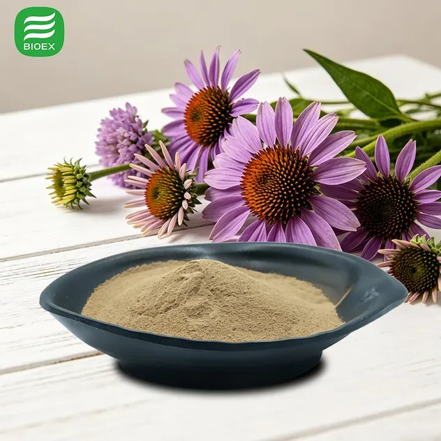 High Quality Echinacea Extract 7% Polyphenols by HPLC for Nutraceutical Production