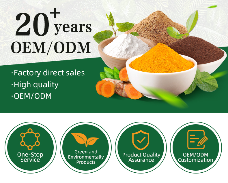 Salvia Miltiorrhiza Extract