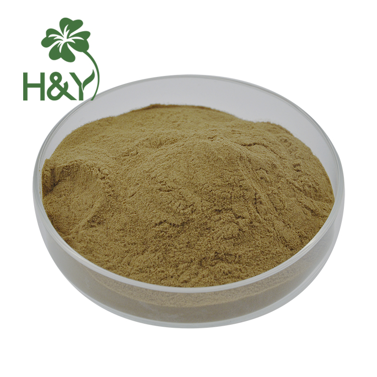 Wholesale Natural Grape Seed Extract 10:1 Grape Seed Powder