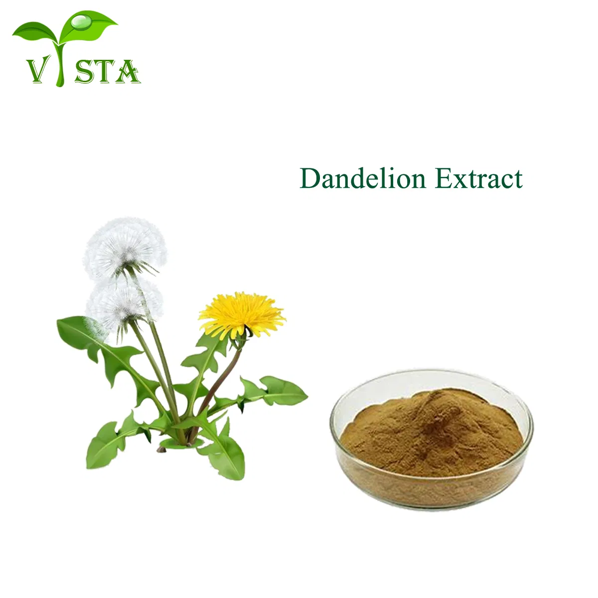 Pure Natural Herbal Extract Food Supplement Dandelion Extract Flavonoids Powder CAS 68990-74-9