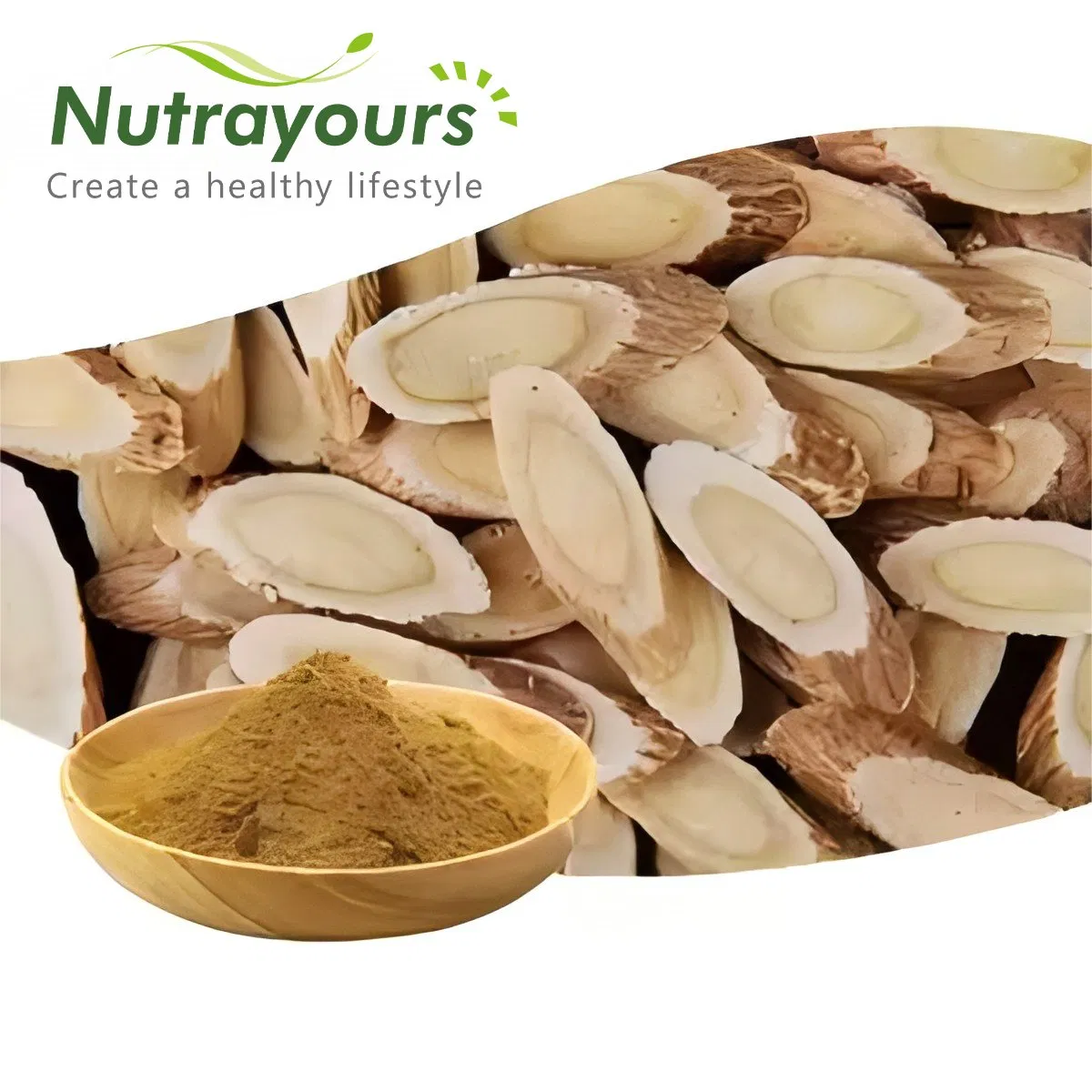 Premium Astragalus Root Extract with Cycloastragenol for Immune Boost