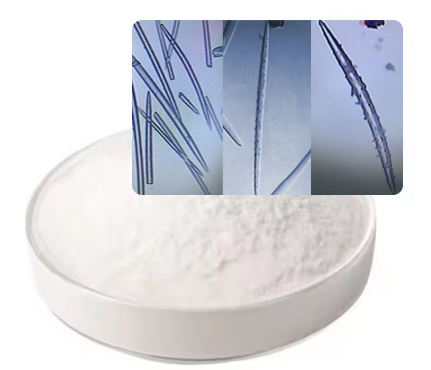 99% Hydrolyzed White Powder Plant Extract Dermatologically Tested Herbal Spicule Powder Wild Cultivation Active Sponge for Skin