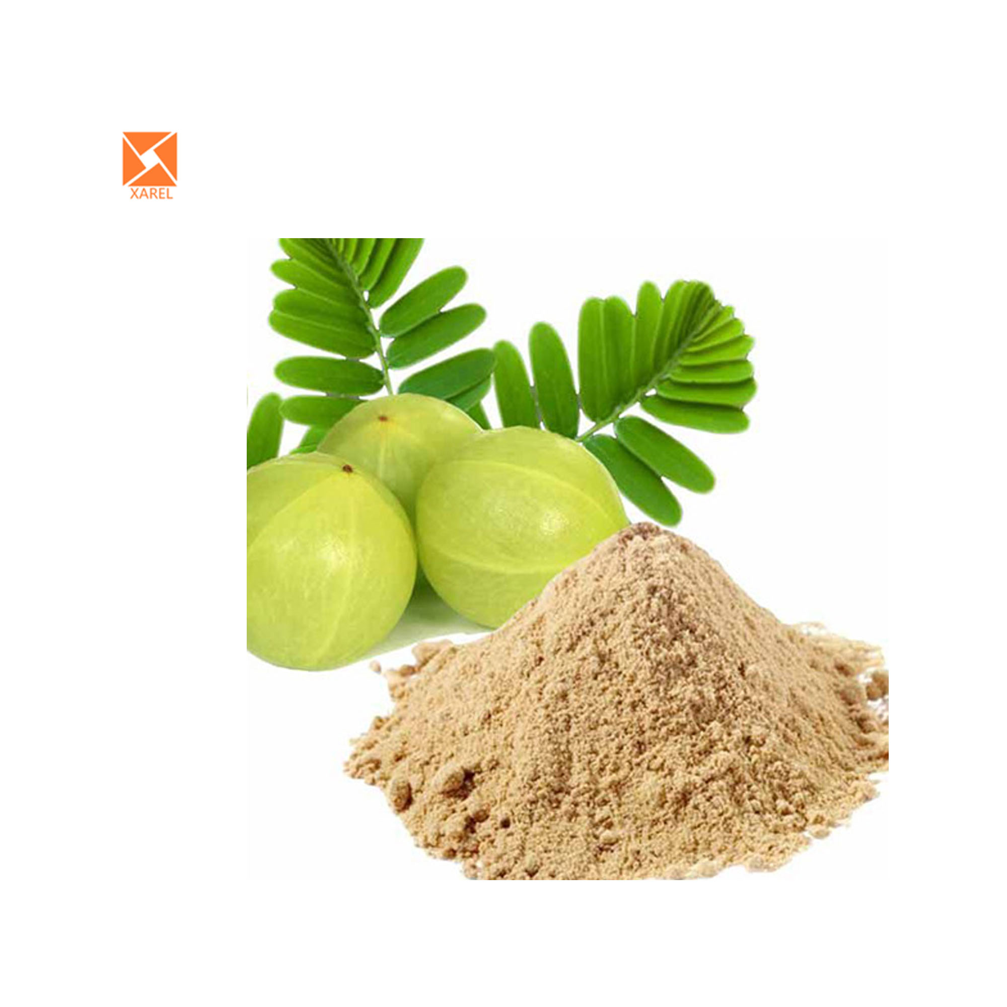 Factory Supply Certified Natural Amla Fruit Extract Amla Juice Powder