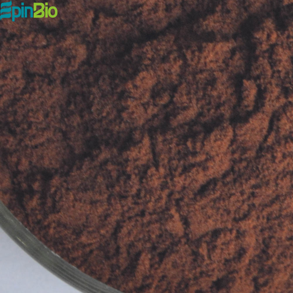 Natural Pure Supplement Grape Seed Extract OPC 95%