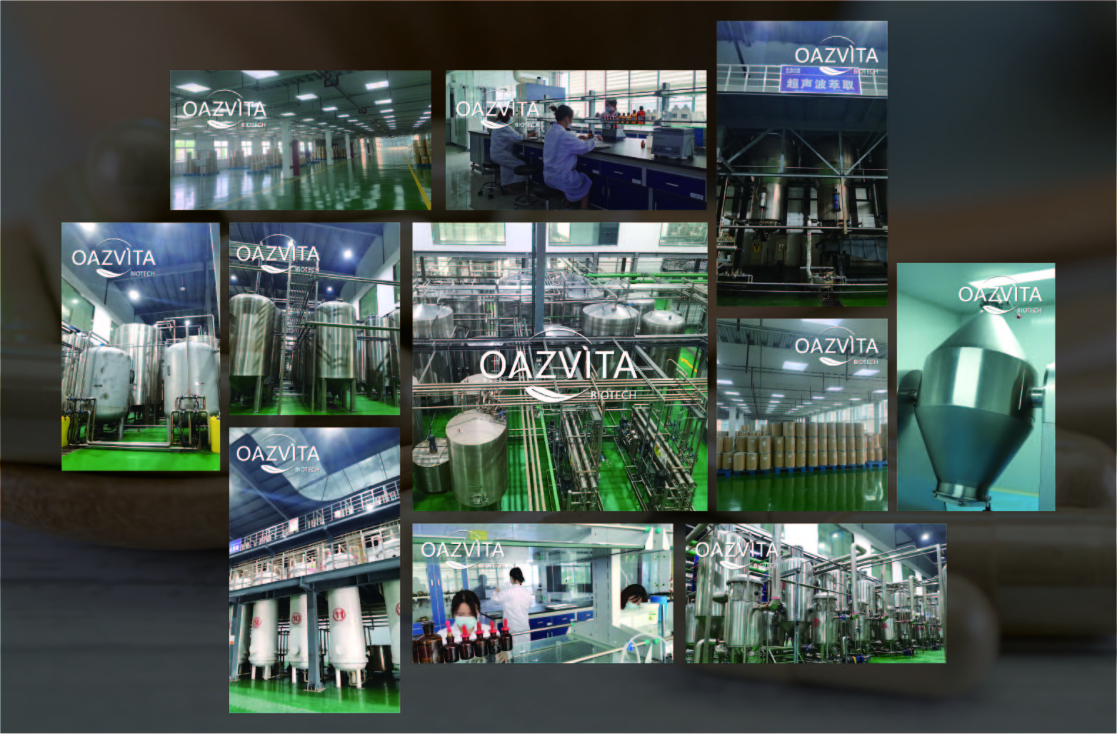 Factory Facility and Equipment Display