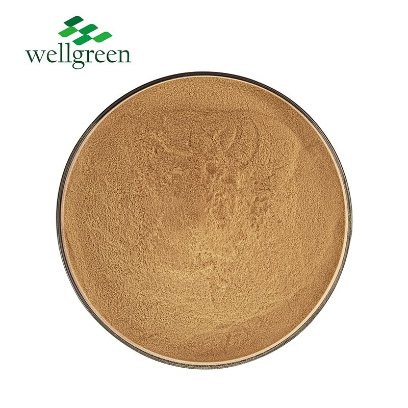 Standardized 30% Beta Glucan Shiitake Mushroom Extract Powder for Immune &amp; General Health Support