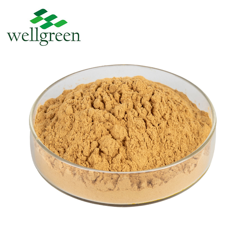 Standardized Yucca Extract High in Saponins for Feed Additive with B50 Test Report