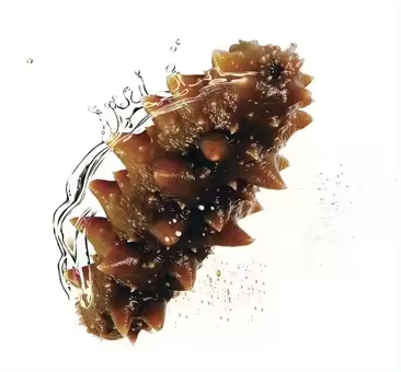 Selected sea cucumber content sea cucumber peptide powder marine life extract stock available wholesales price