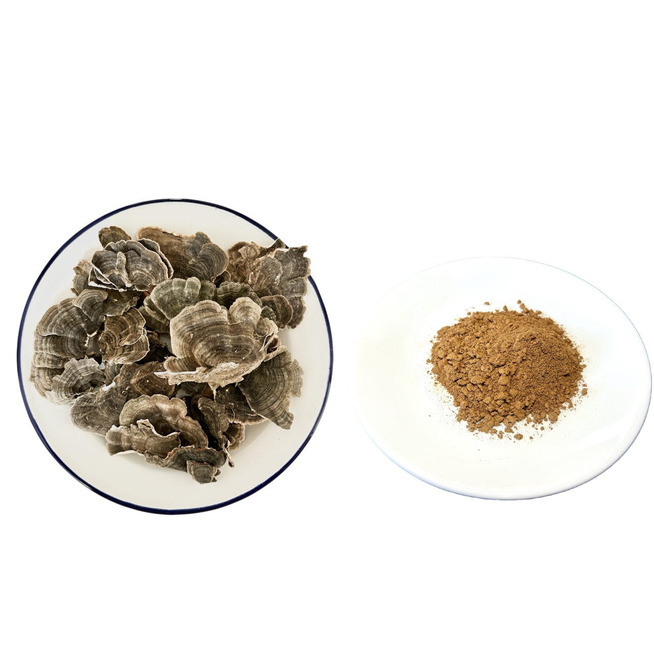 100% Water Soluble Turkey Tail Mushroom Extract Powder 30% Polysaccharides