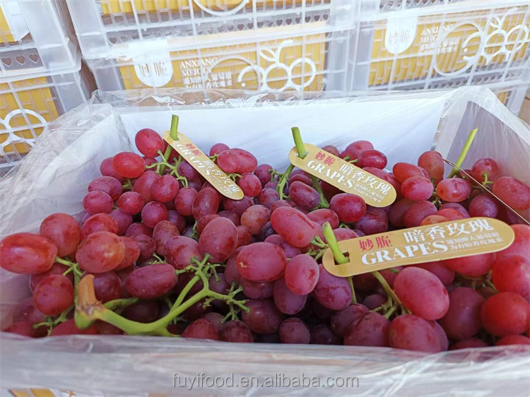Sweet Red Grape Details 1