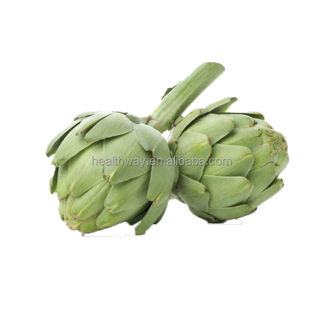 Functions of Artichoke Leaf Extract Part 1
