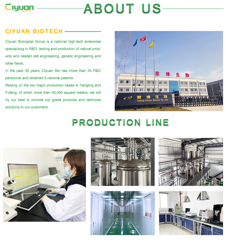 Why Choose Us Strengths