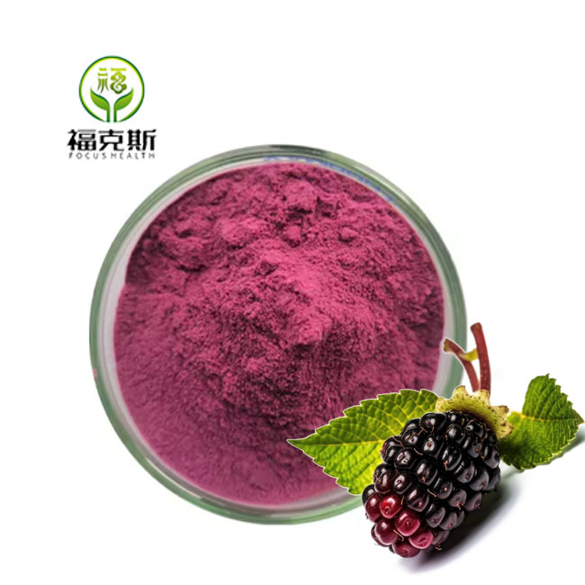 Mulberry Fruit Powder Production