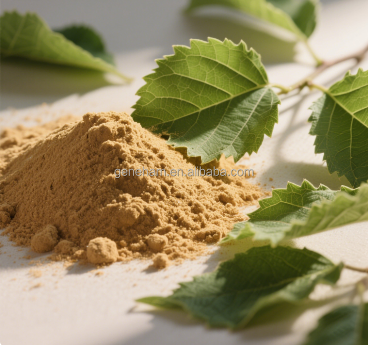 Custom 5% Dnj Mulberry Leaf Powder 100% Pure Food Grade Herbal Extract Discount Available