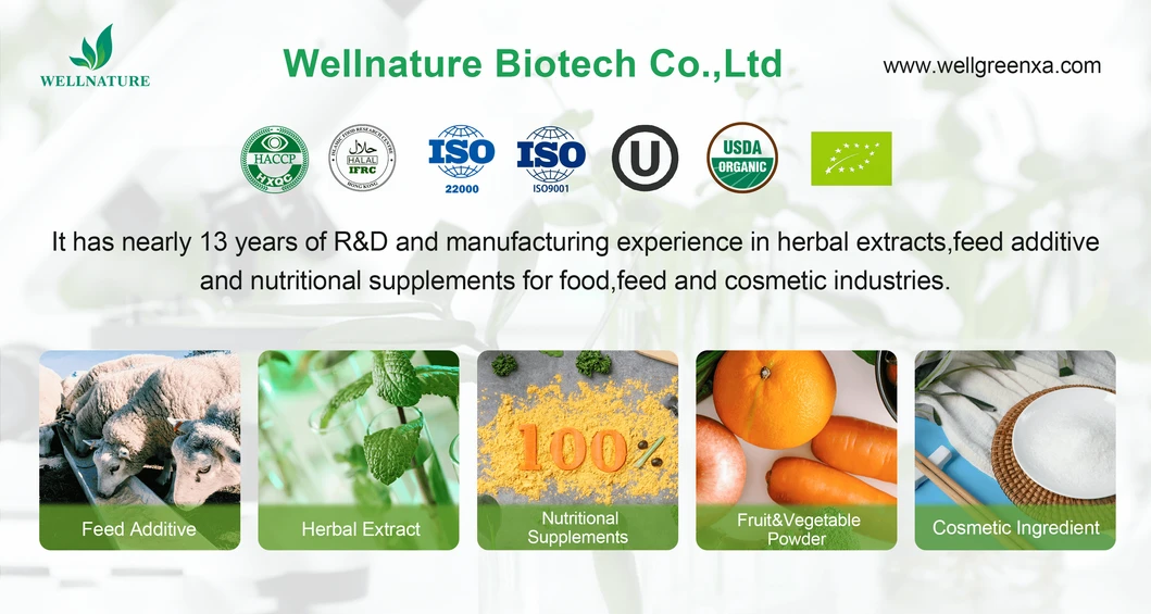 Organic Shiitake Extract 30% Beta Glucans for Premium Nutraceuticals and Research