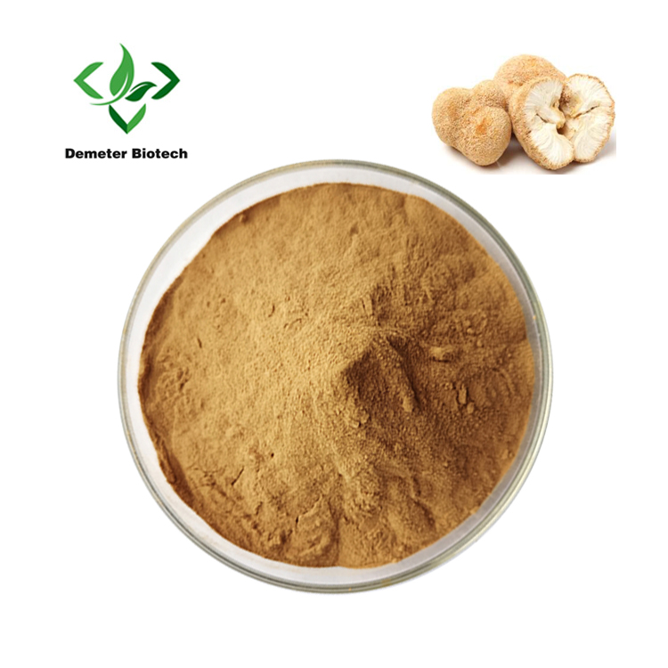 Pure Natural Organic Hericium Erinaceus Extract Lion's Mane Mushroom Powder