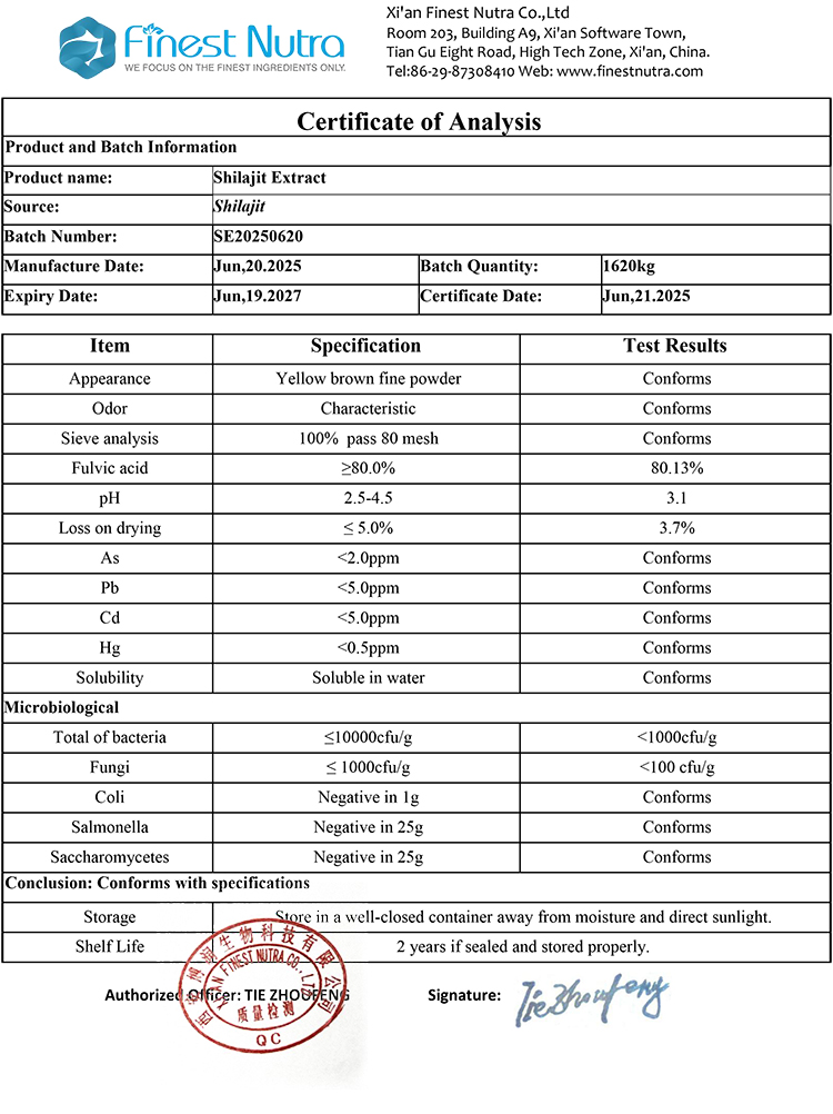 COA Report 2