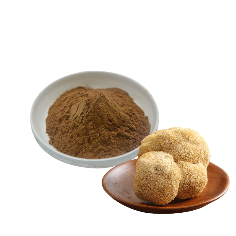 Lions Mane Capsules Organic Lions Mane Mushroom Extract