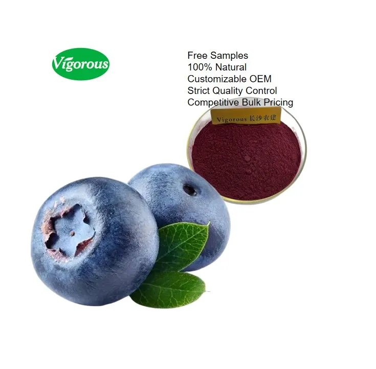 Antioxidant 25% Anthocyanins Bilberry Fruit Extract Powder for Nutraceuticals & Functional Foods