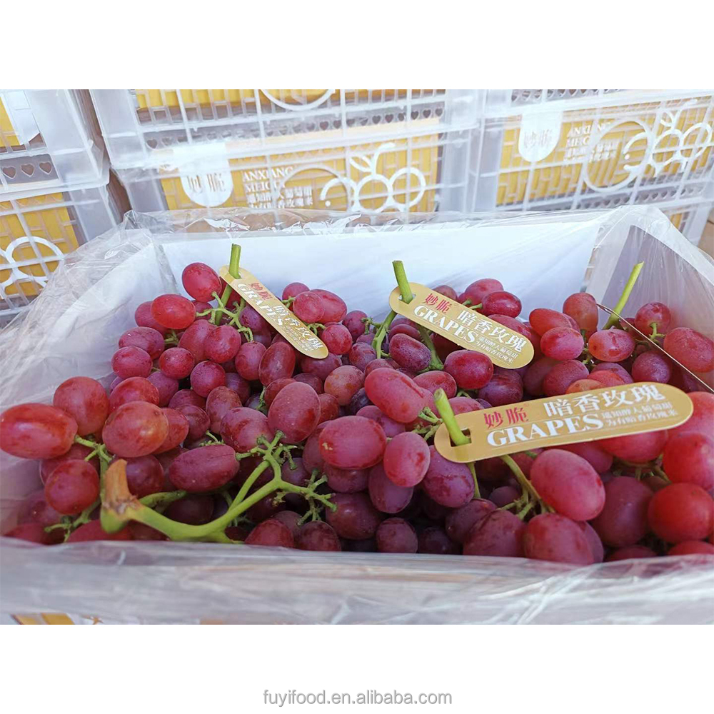 High Brix Juicy Fresh Fruit Rose Red Grape Price